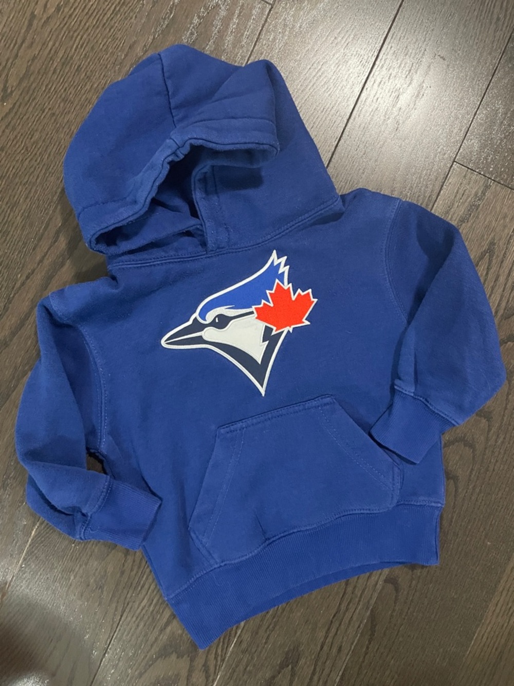 2T Kids Toronto Blue Jays blue sweatshirt